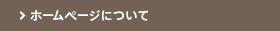 ホームページについて