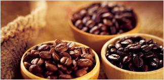 「コーヒー豆」の画像検索結果