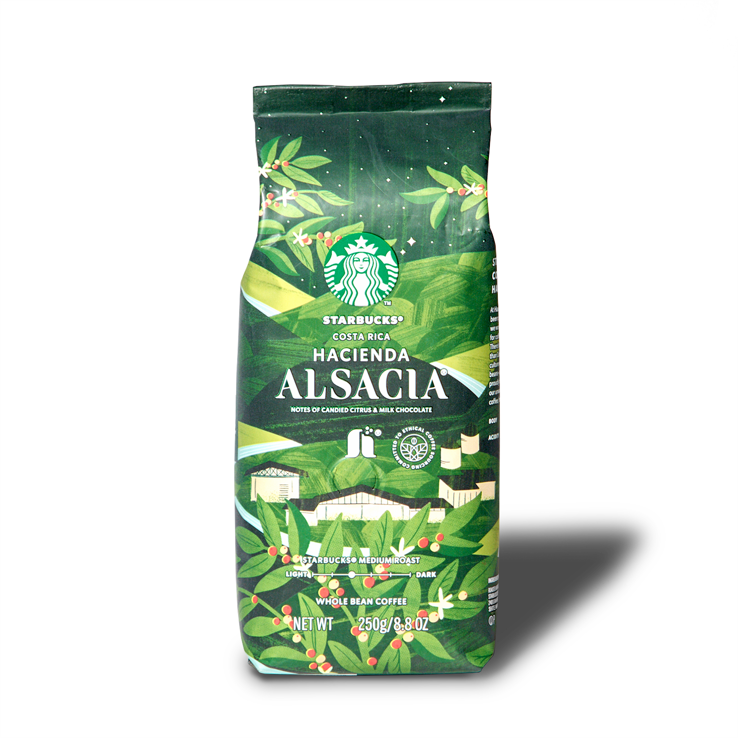 スターバックス® ハシエンダ アルサシア®