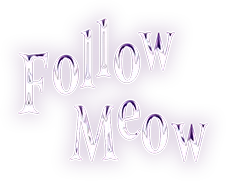 Follow Meow