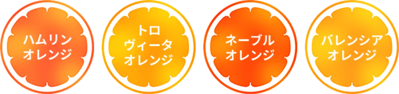 ハムリンオレンジ トロヴィータオレンジ ネーブルオレンジ バレンシアオレンジ