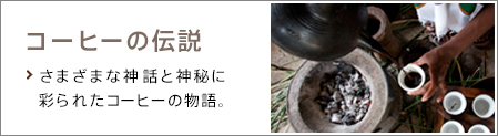 コーヒーへのこだわり あなたの"一杯"にたどり着くまでのストーリー