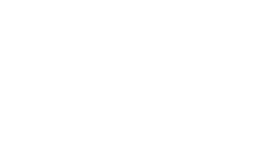 JOYFUL GIFT HOLIDAY