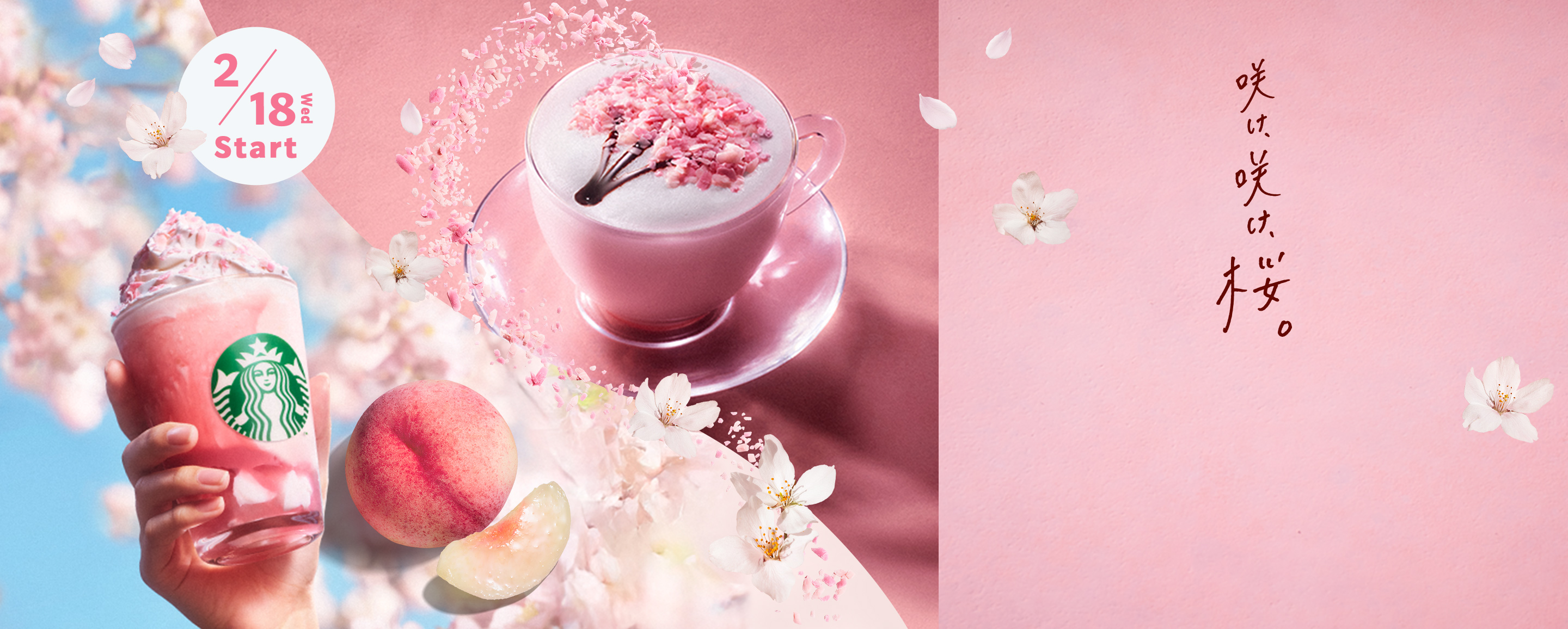 2/18 Wed Start 咲け、咲け、桜。