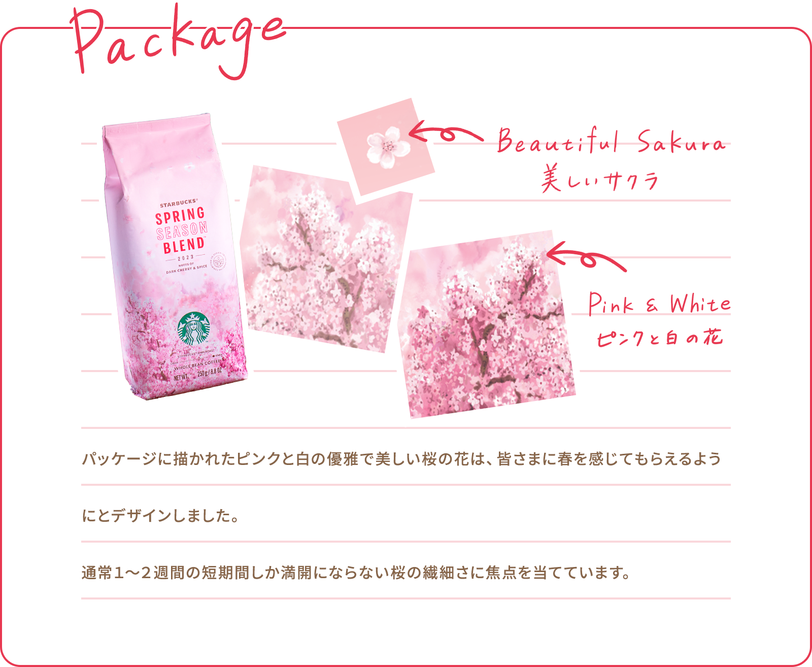 Package