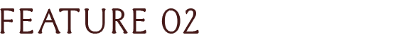 FEATURE 02