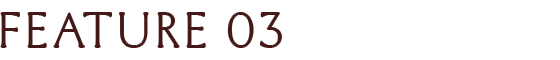 FEATURE 03