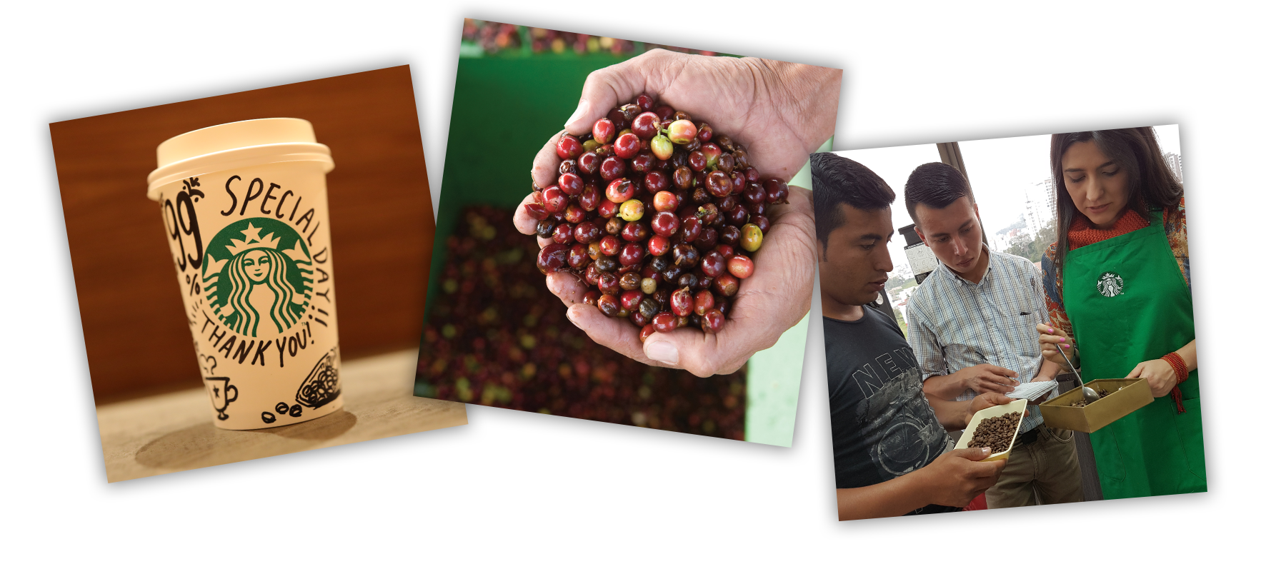 コーヒー豆の倫理的な調達99 を達成 スターバックス コーヒー ジャパン