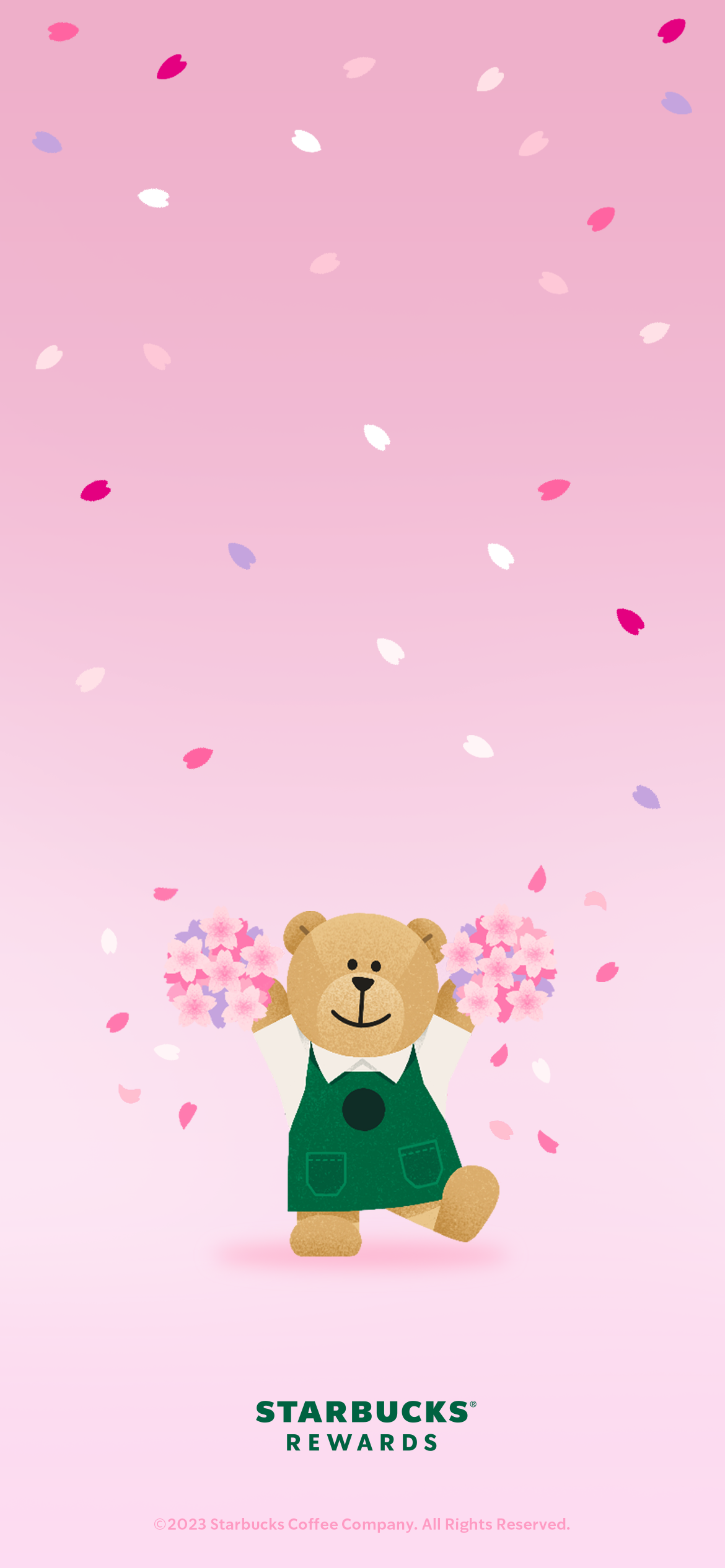 スタバ 桜