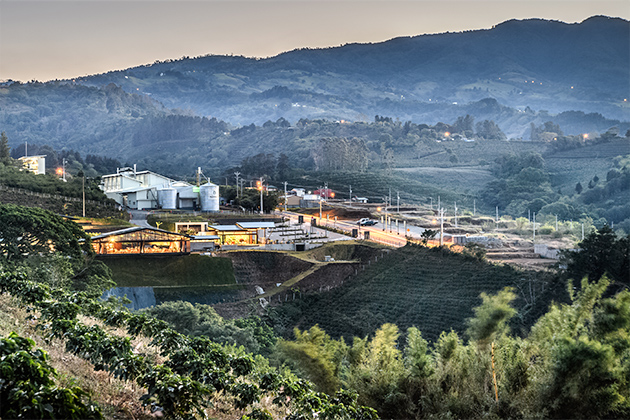 ハシエンダ アルサシア農園