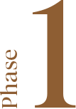 Phase 1