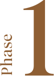 Phase 1