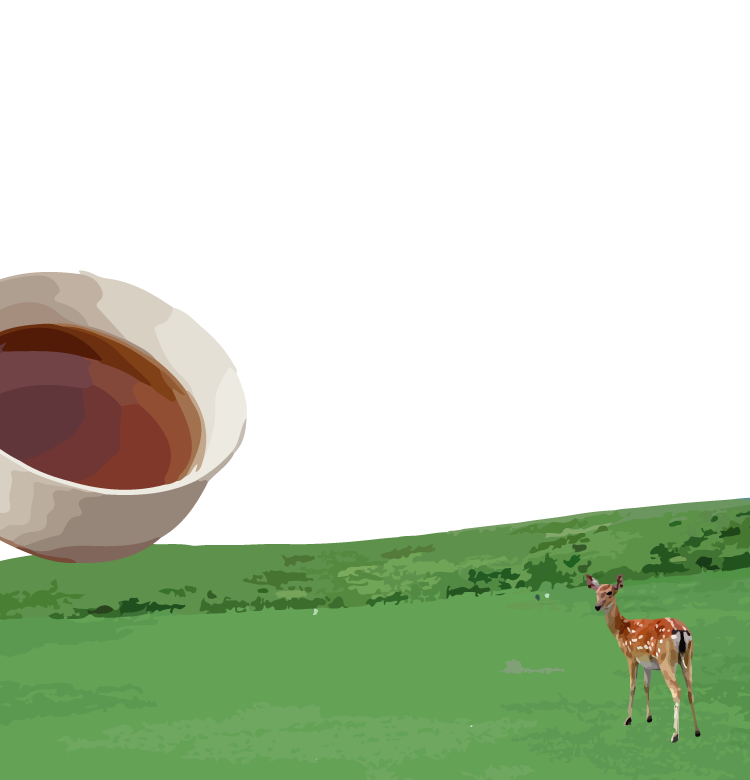 新商品情報 奈良 ならでは ほうじ茶 ホワイトチョコレート フラペチーノ スターバックス コーヒー ジャパン 新商品情報 奈良 ならでは ほうじ茶 ホワイトチョコレート フラペチーノ スターバックス コーヒー ジャパン