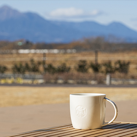 自然循環が息づく場所。新しい体験が都城・icoiaから始まる