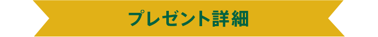プレゼント詳細